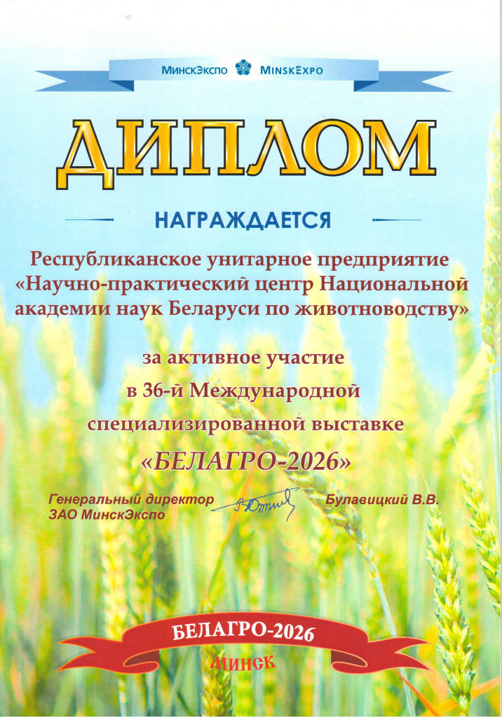 14 диплом участника.jpg